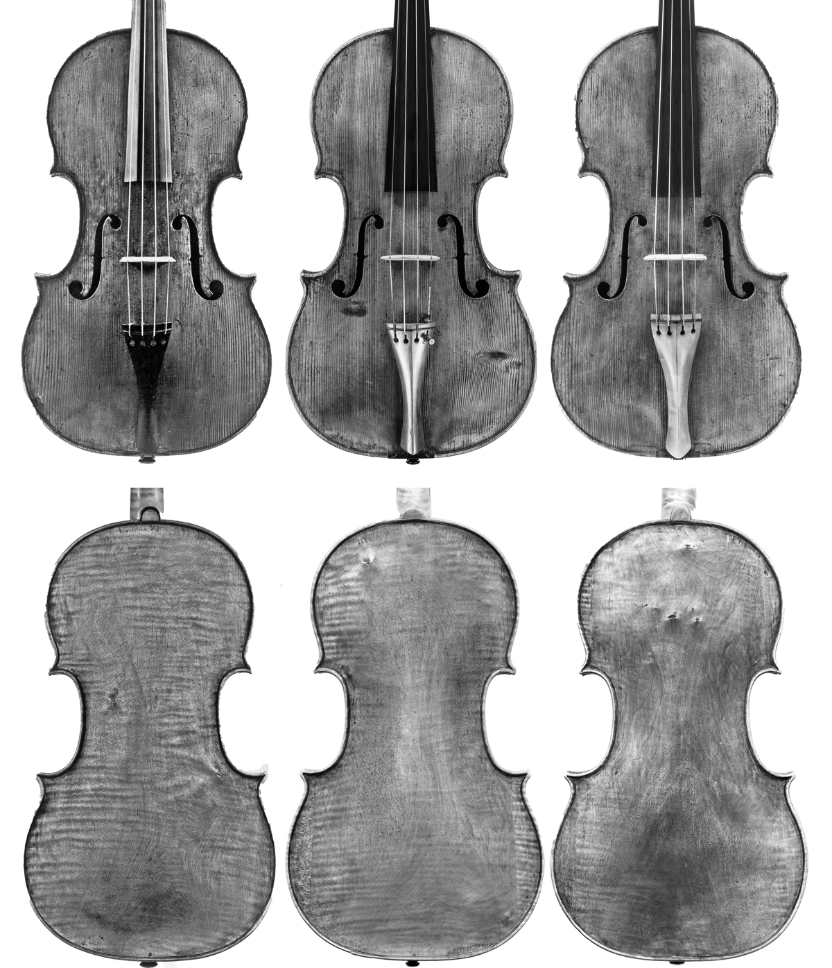 Tarisio - The 'Josefowitz' Guarneri viola, c. 1690 - Cozio Carteggio